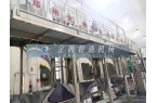 生产菜籽油需要用到什么机器？郑州企鹅为您